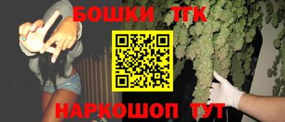 дживик Моздок