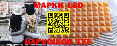 mdpv Можга