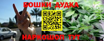 дживик Моздок