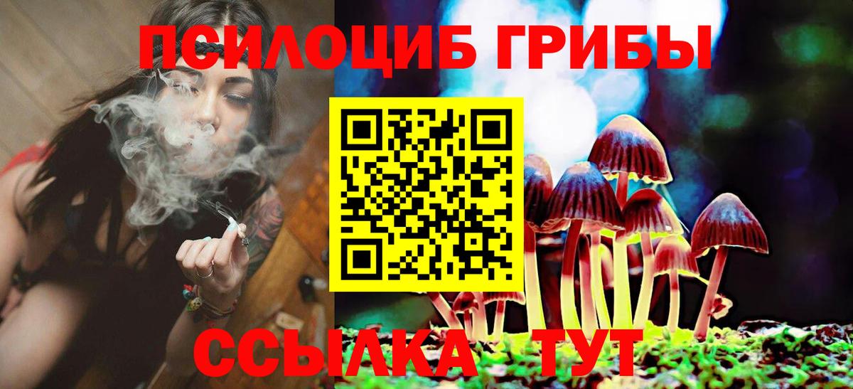 Псилоцибиновые грибы мицелий Полысаево