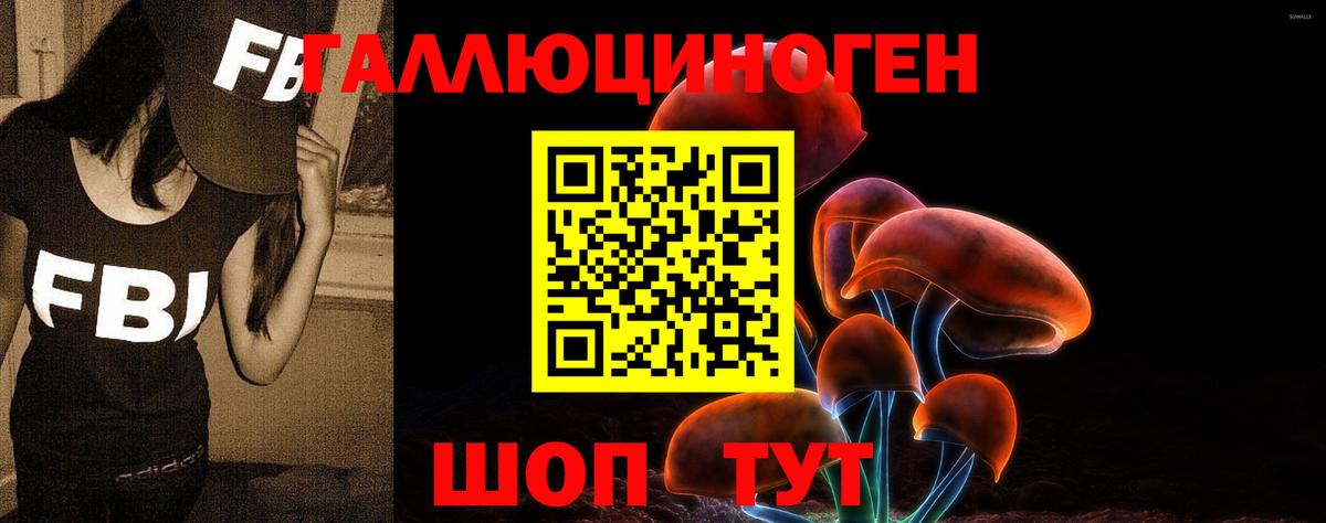 Псилоцибиновые грибы MAGIC MUSHROOMS  Псилоцибиновые грибы Psilocybe  Вход с VPN  хочу наркоту  Полысаево 